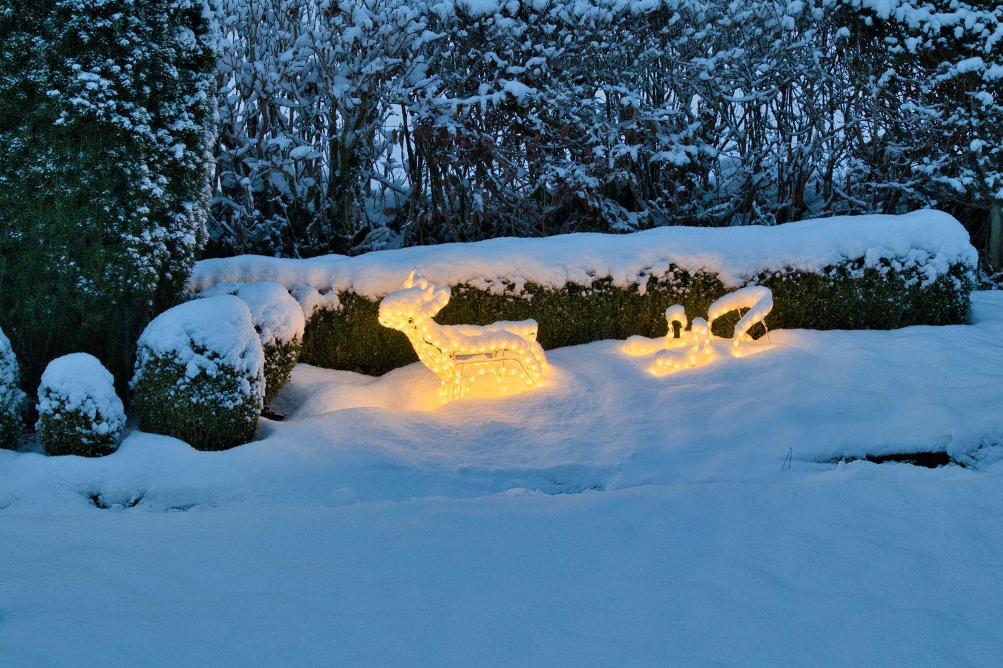Ferienwohnung Weiss Hilchenbach エクステリア 写真